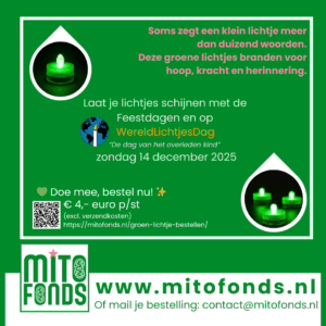 wereldlichtjesDag